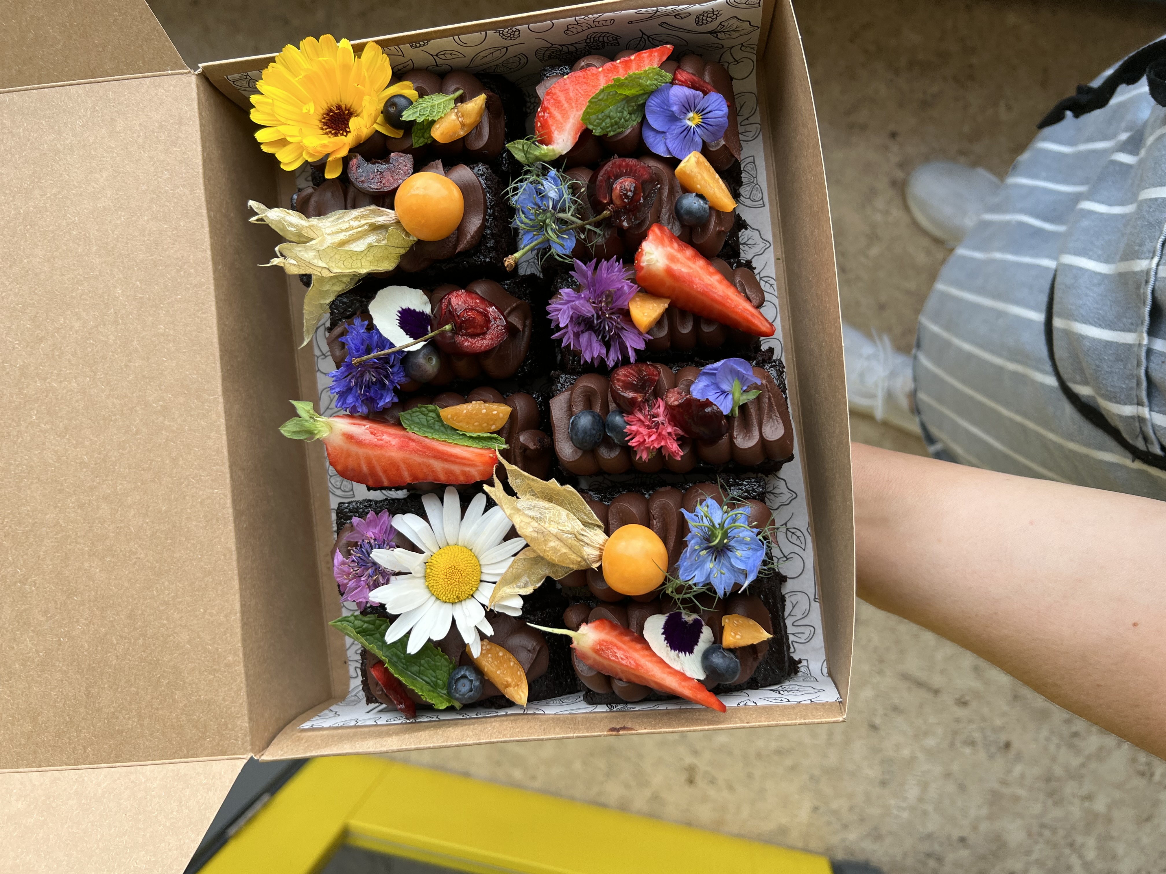 Rainbow Love Bites: EK Bakery's Little Pride Cakes with Fruit and Flower Delights!